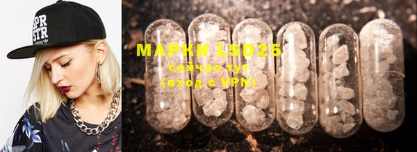 индика Усолье-Сибирское